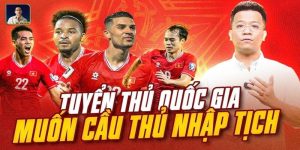 Thông tin cầu thủ nhập tịch tại Việt Nam